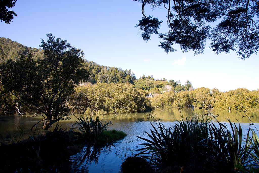 By The Park B & B Whangarei Exterior foto