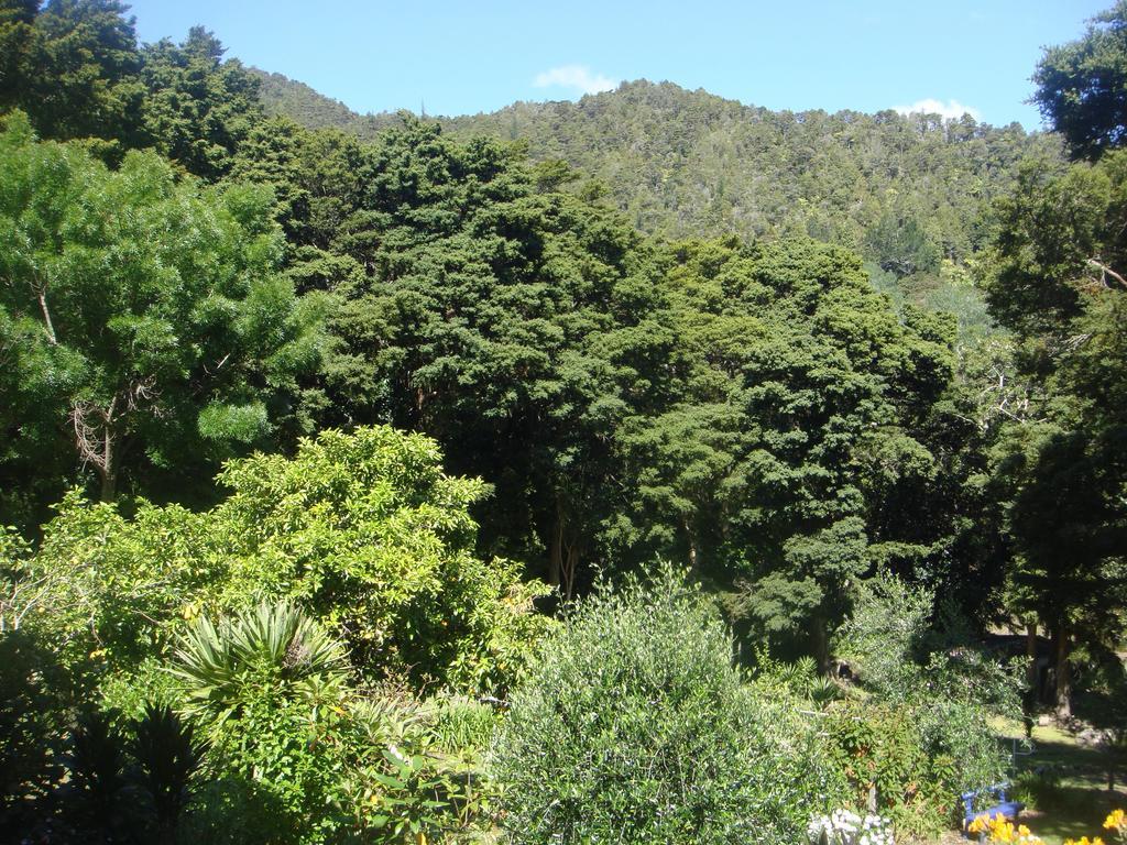 By The Park B & B Whangarei Zimmer foto